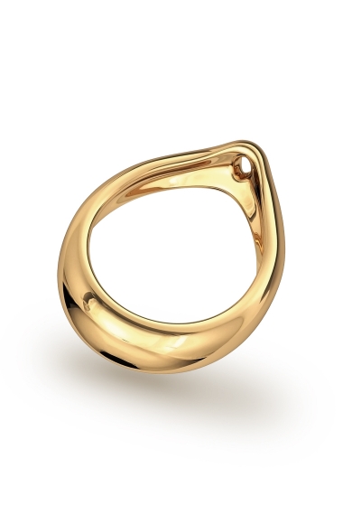 Adonis Prince Albert 3 Glans Ring, Gold - FANCY RINGS
